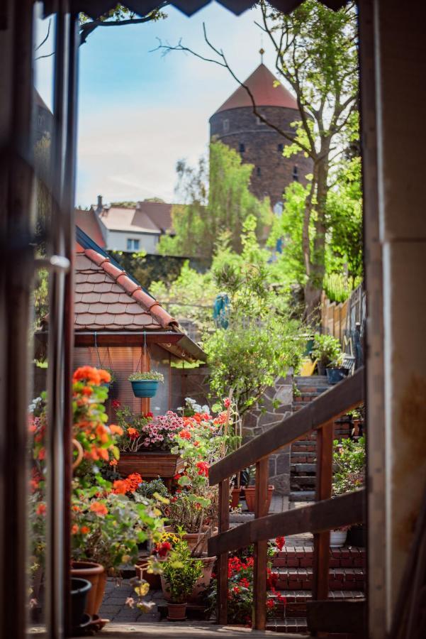 Ferienwohnung Altes Hinterhäusel Freiberg Zimmer foto